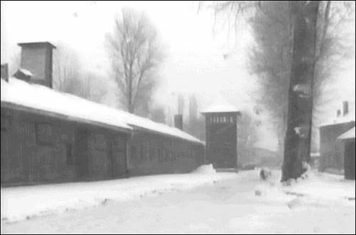 Auschwitz in winter